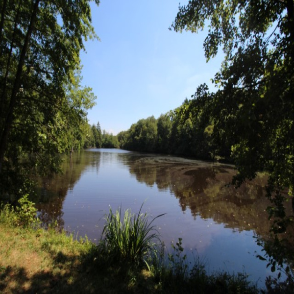 Offres de vente Terrain Saint-Maurice-des-Lions 16500